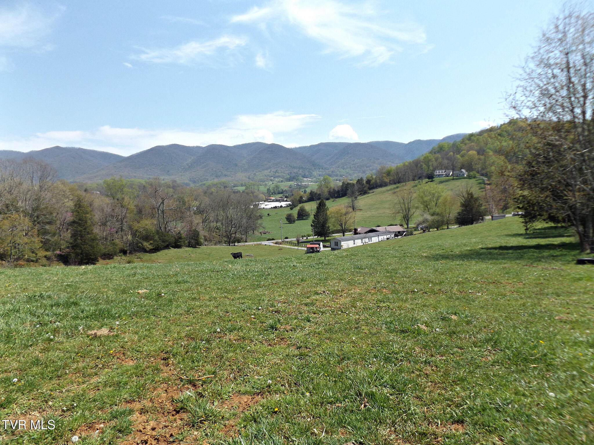 855 Willow Springs Road Elizabethton, TN 37643 - Photo 18 of 74 Willowview57