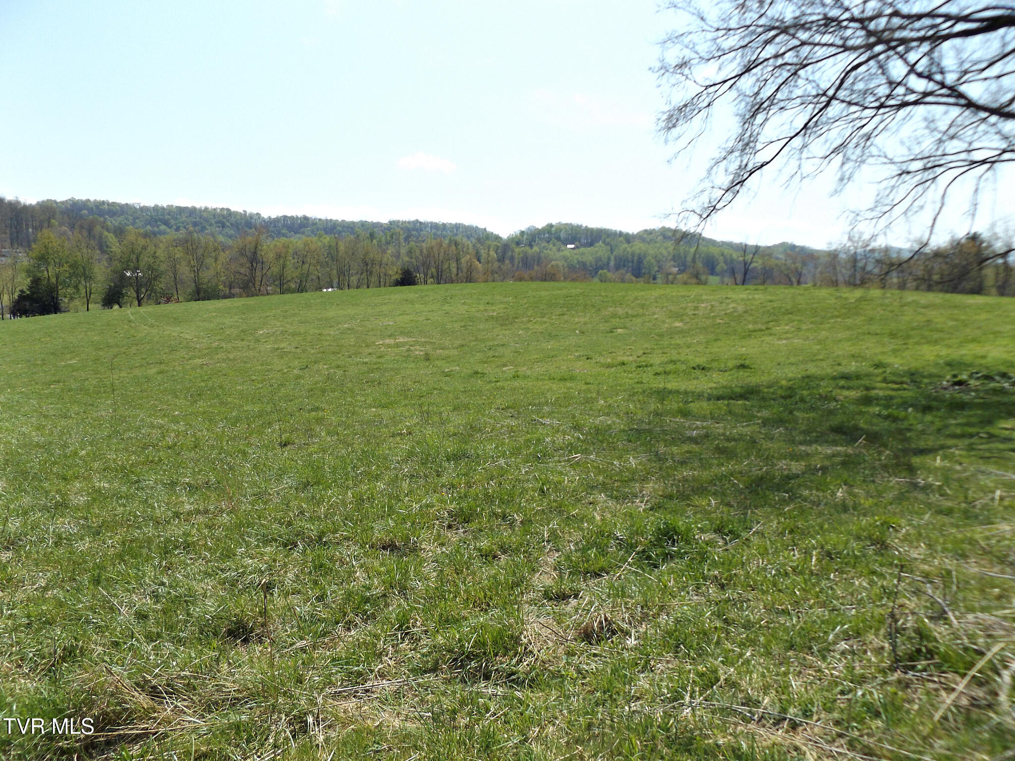 855 Willow Springs Road Elizabethton, TN 37643 - Photo 19 of 74 Willowtoppasture56