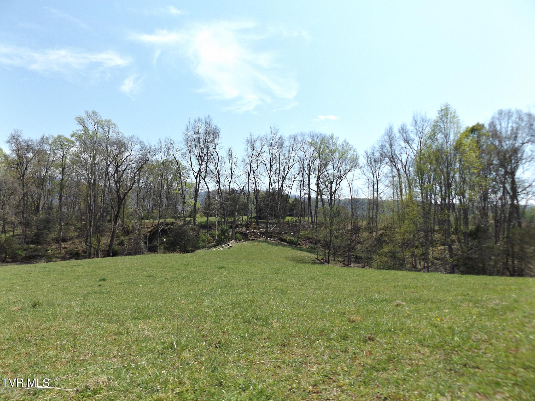855 Willow Springs Road Elizabethton, TN 37643 - Photo 20 of 74 Willowtop54