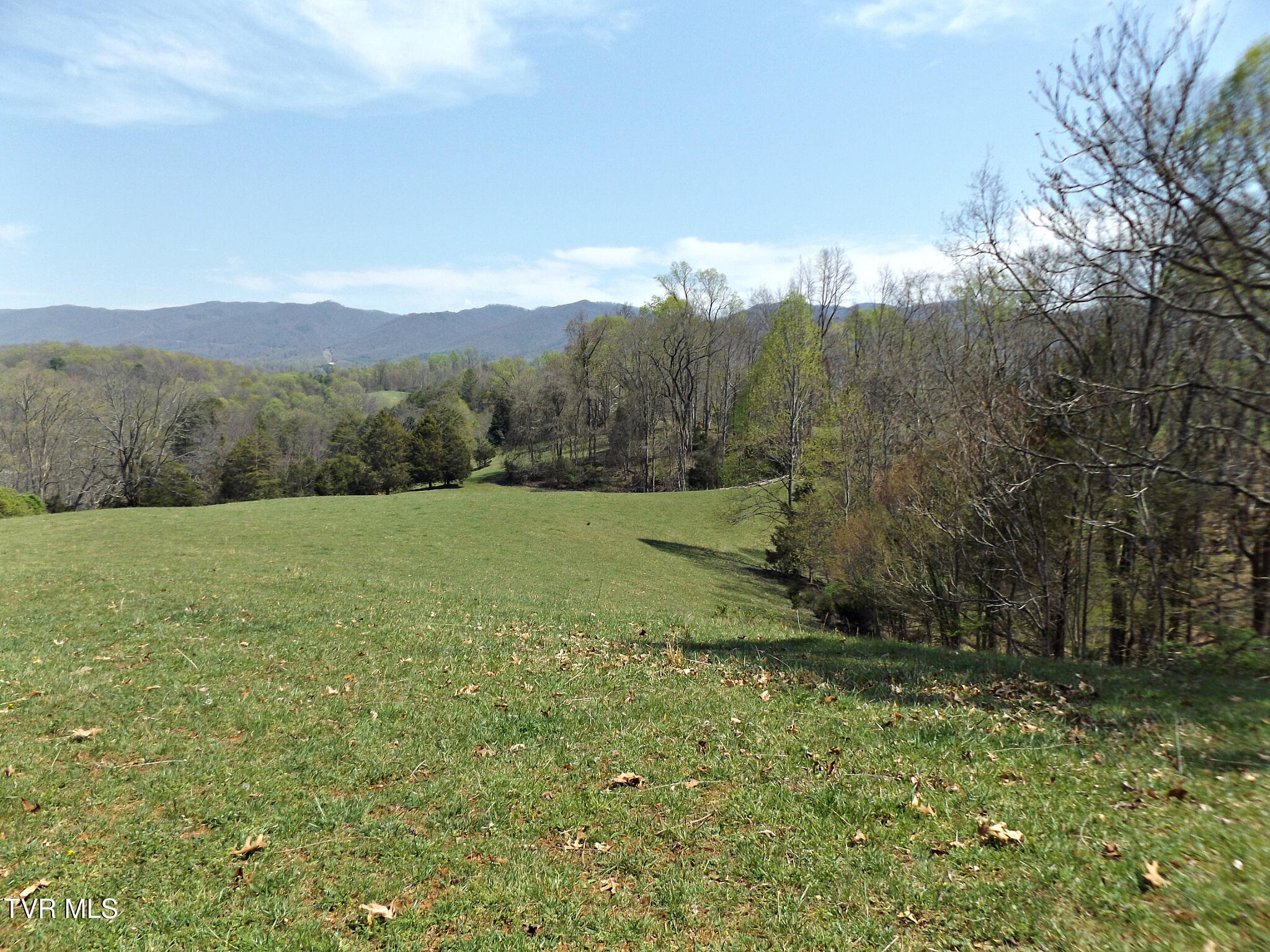 855 Willow Springs Road Elizabethton, TN 37643 - Photo 22 of 74 Willowtop52