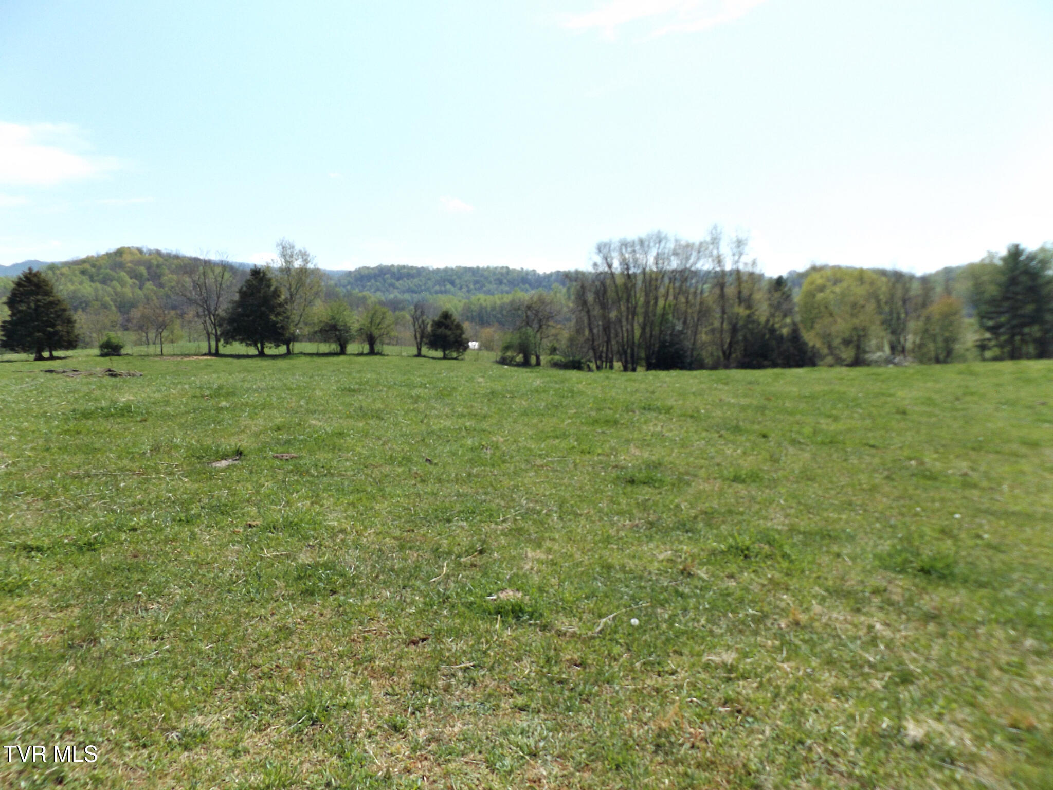 855 Willow Springs Road Elizabethton, TN 37643 - Photo 23 of 74 WillowTop45