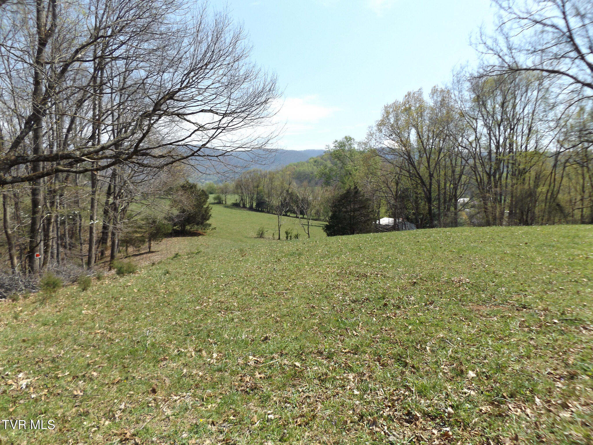 855 Willow Springs Road Elizabethton, TN 37643 - Photo 24 of 74 Willowtop49