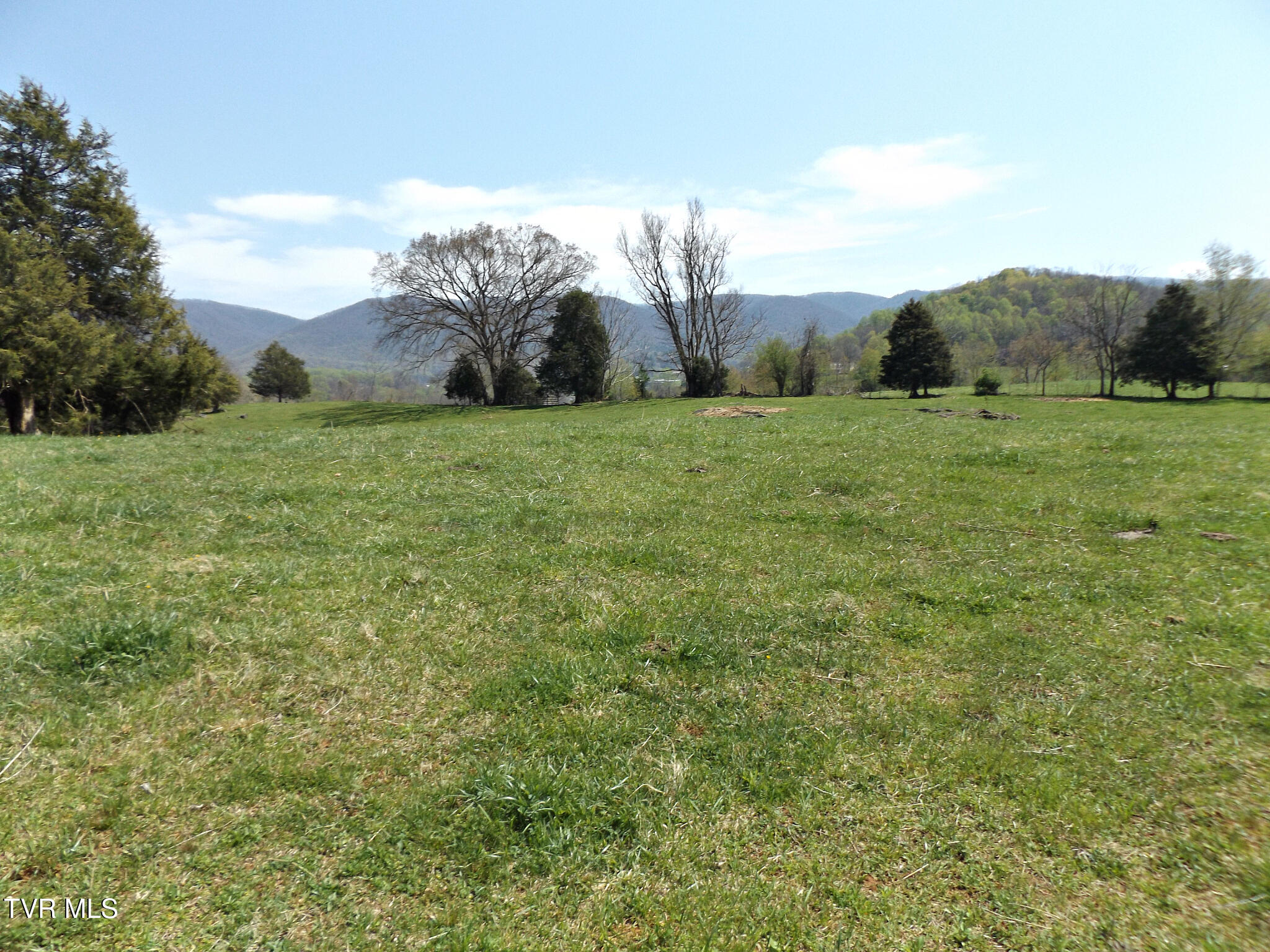 855 Willow Springs Road Elizabethton, TN 37643 - Photo 27 of 74 Willowtop44