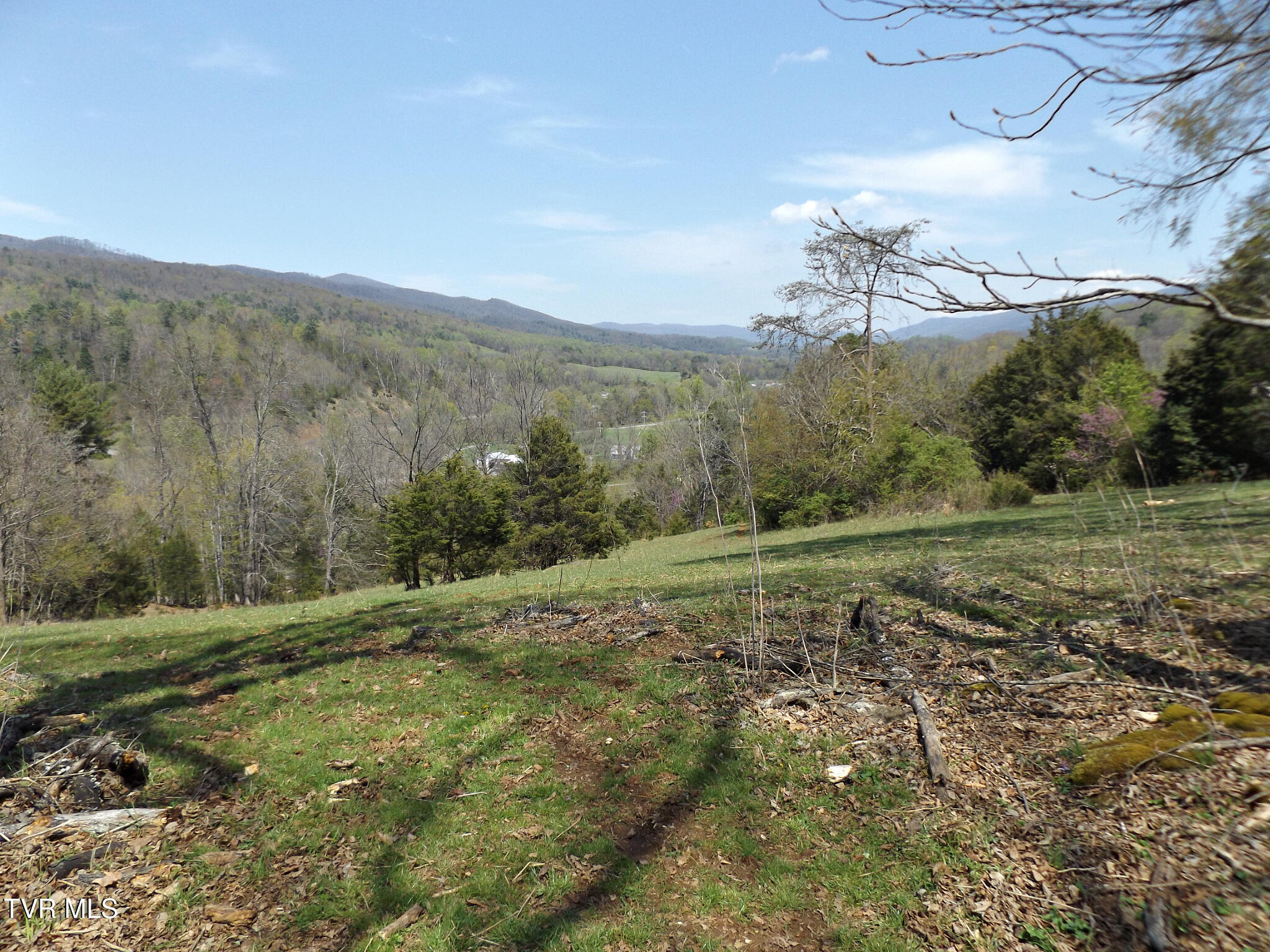 855 Willow Springs Road Elizabethton, TN 37643 - Photo 29 of 74 Willowbackpasture35