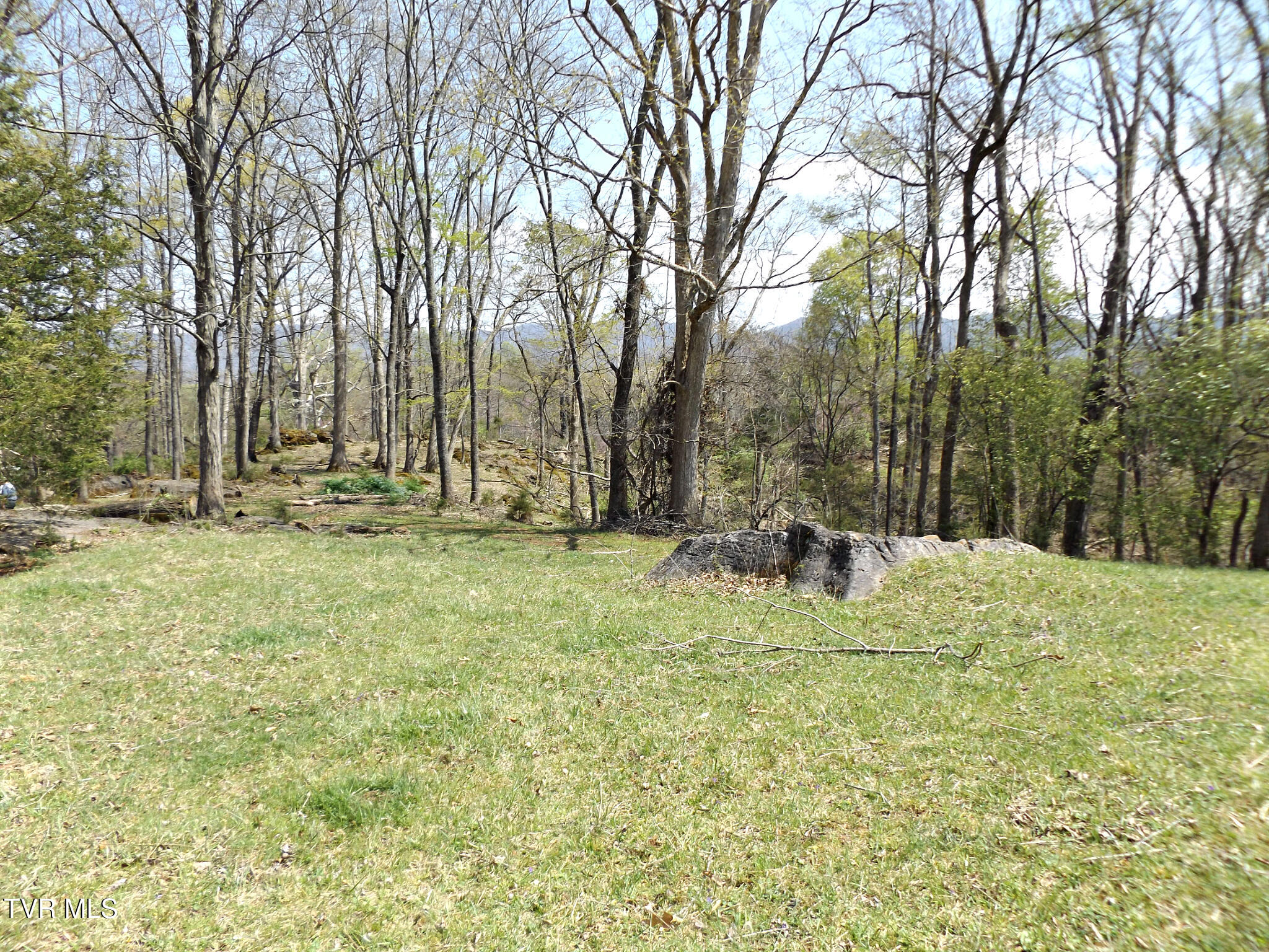 855 Willow Springs Road Elizabethton, TN 37643 - Photo 30 of 74 Willowtopwoods