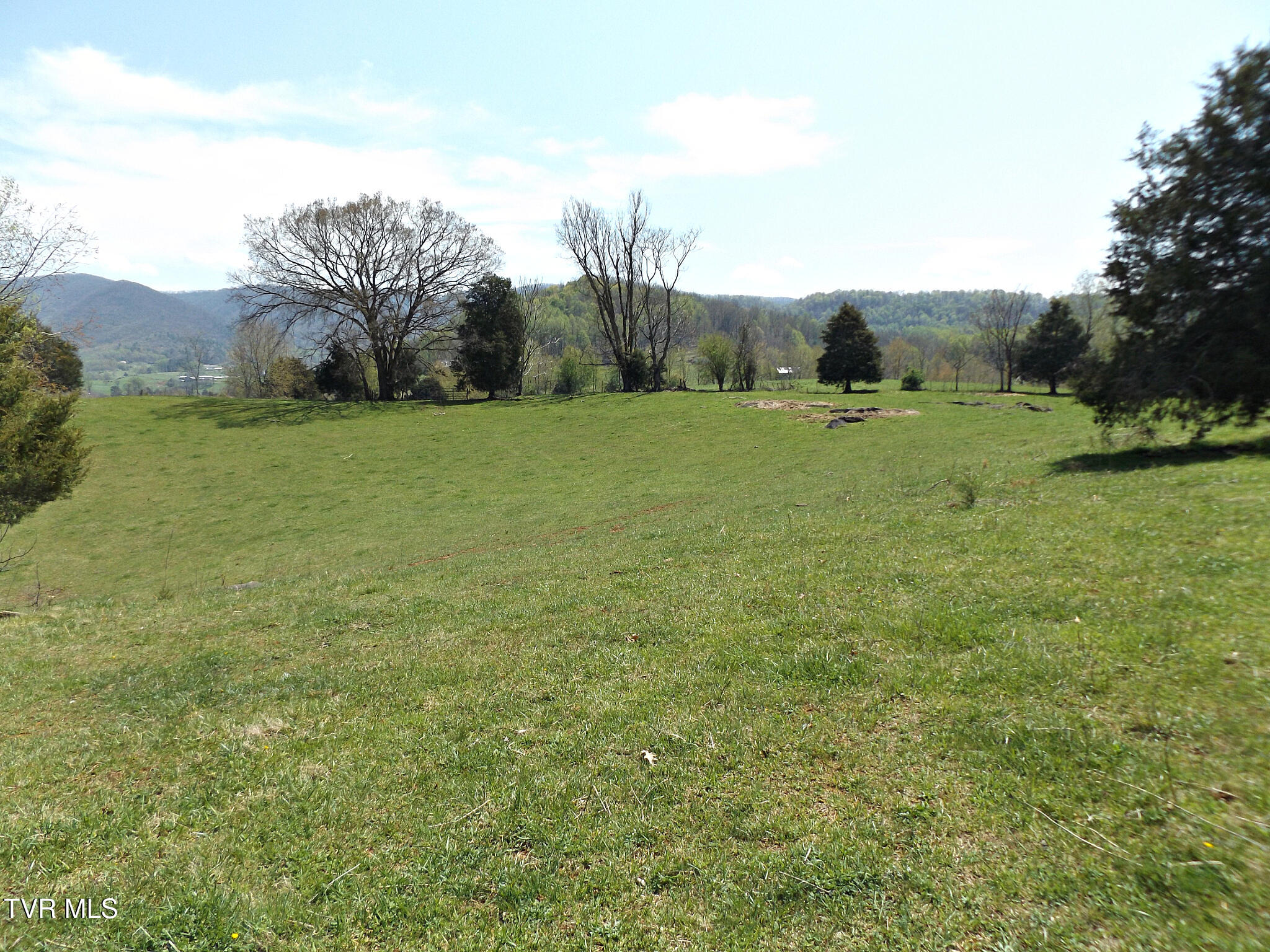 855 Willow Springs Road Elizabethton, TN 37643 - Photo 32 of 74 Willowtop27