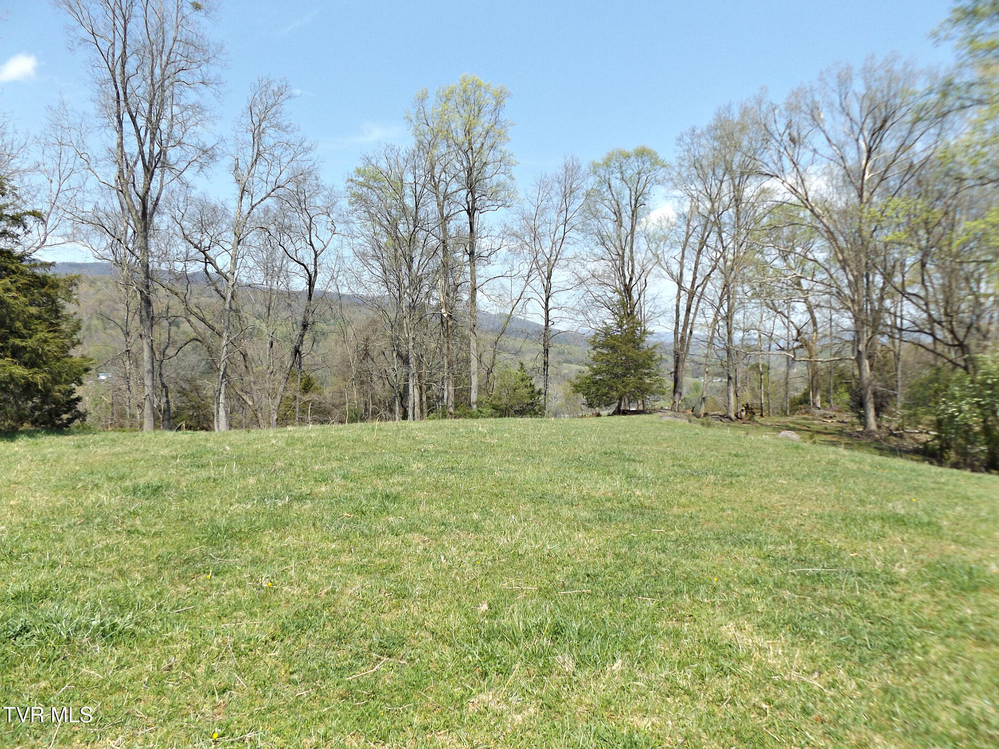 855 Willow Springs Road Elizabethton, TN 37643 - Photo 33 of 74 Willow25Top