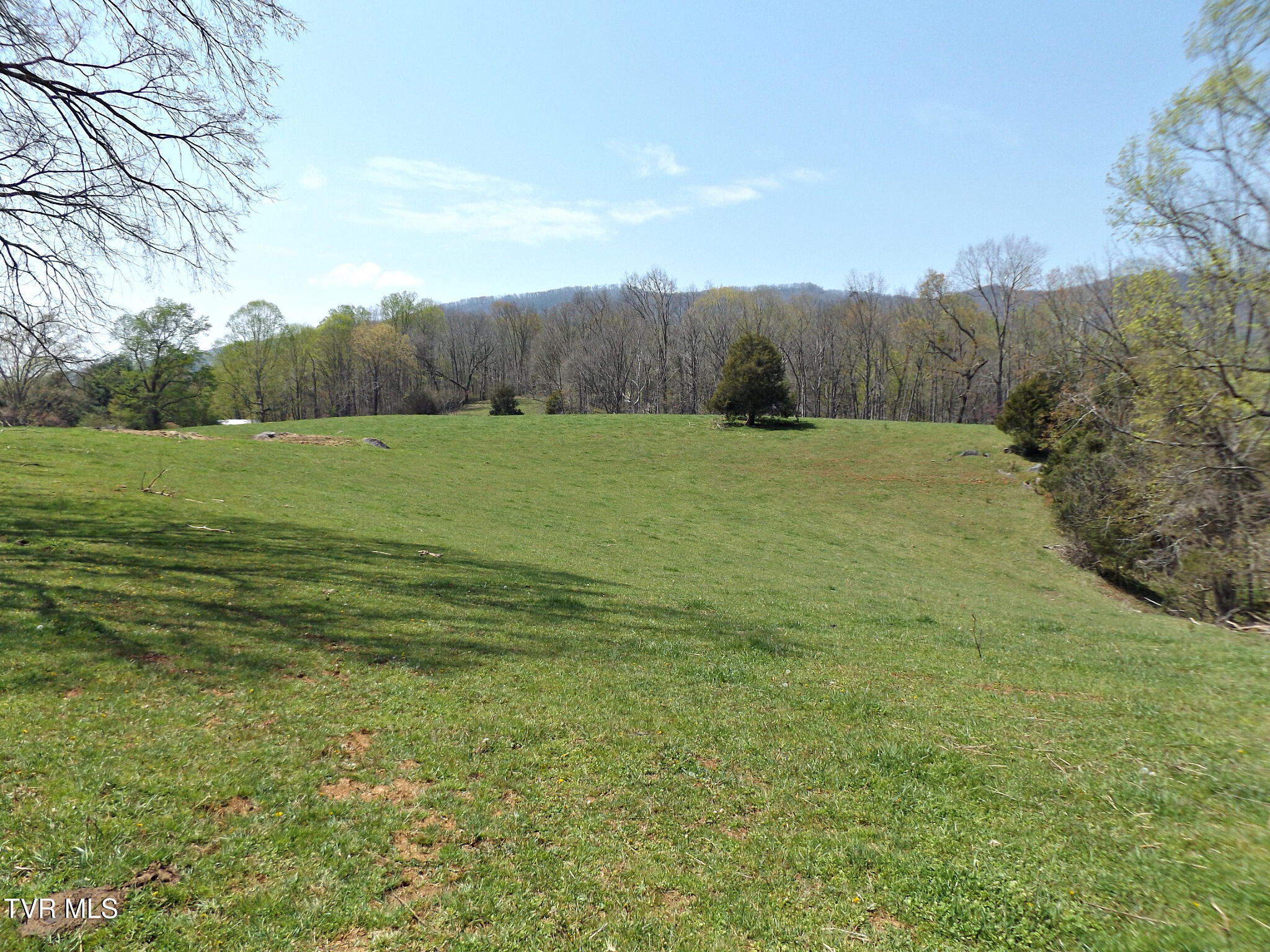 855 Willow Springs Road Elizabethton, TN 37643 - Photo 34 of 74 Willowtoppasture