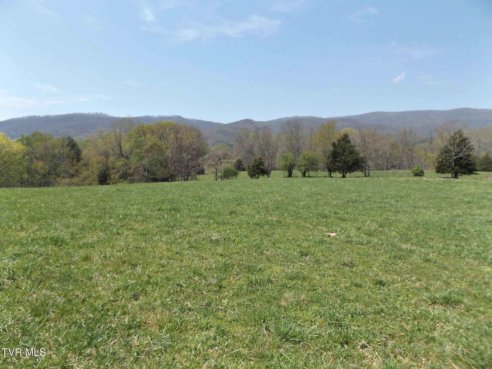 855 Willow Springs Road Elizabethton, TN 37643 - Photo 35 of 74 Willow16