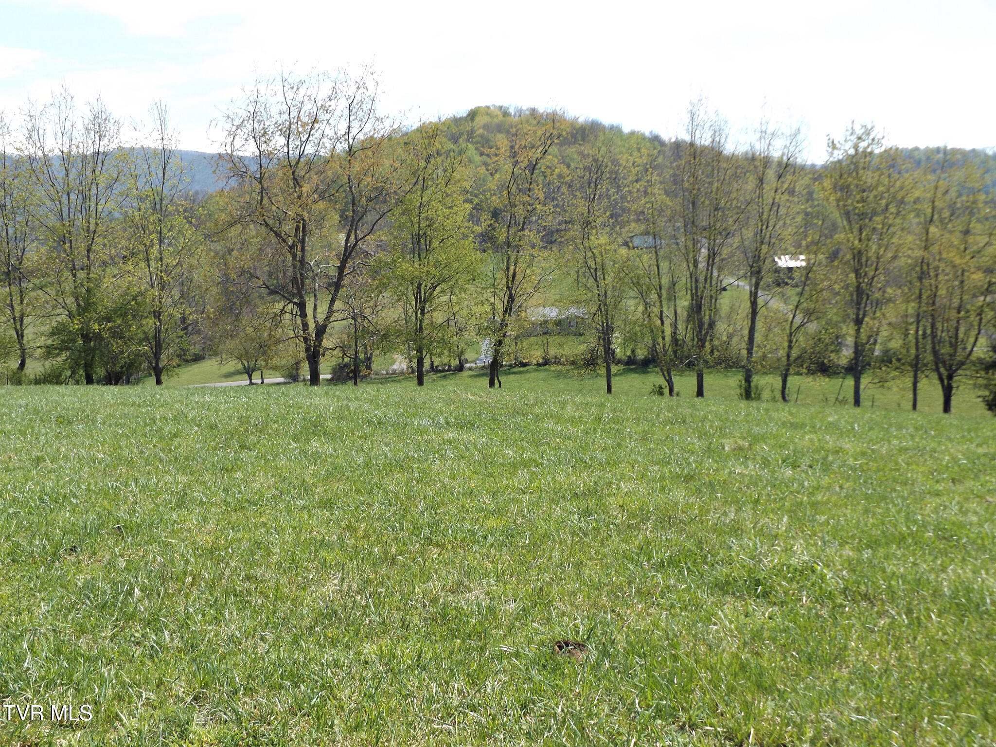 855 Willow Springs Road Elizabethton, TN 37643 - Photo 36 of 74 Willow14