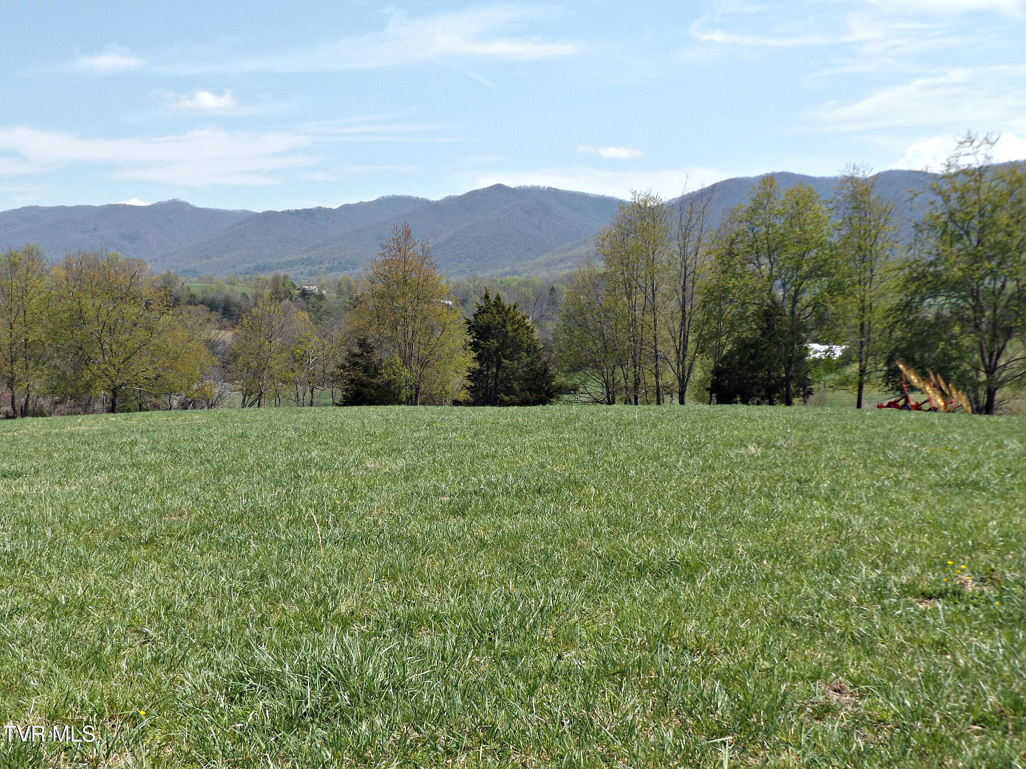 855 Willow Springs Road Elizabethton, TN 37643 - Photo 37 of 74 Willow13