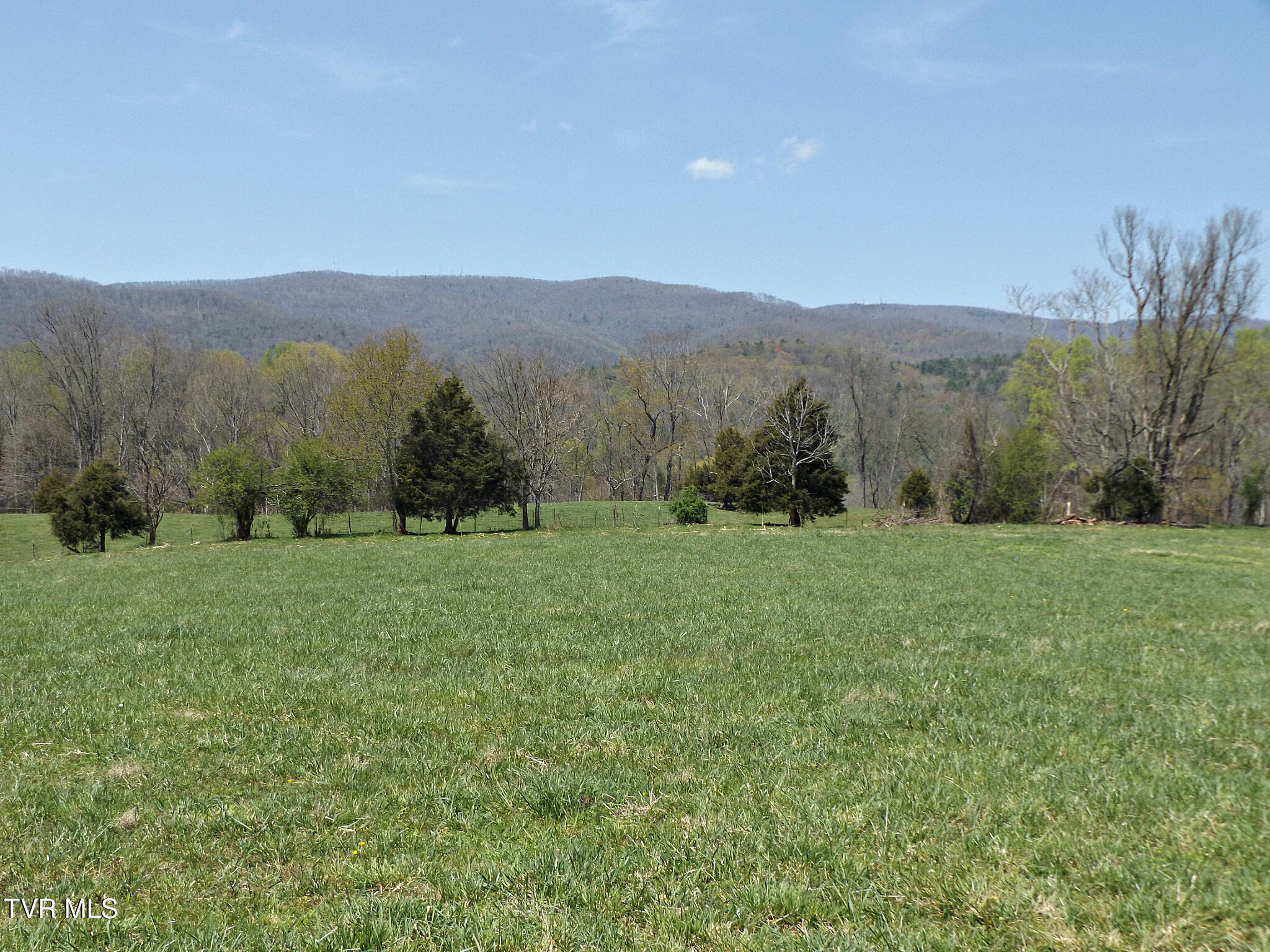 855 Willow Springs Road Elizabethton, TN 37643 - Photo 38 of 74 Willow12