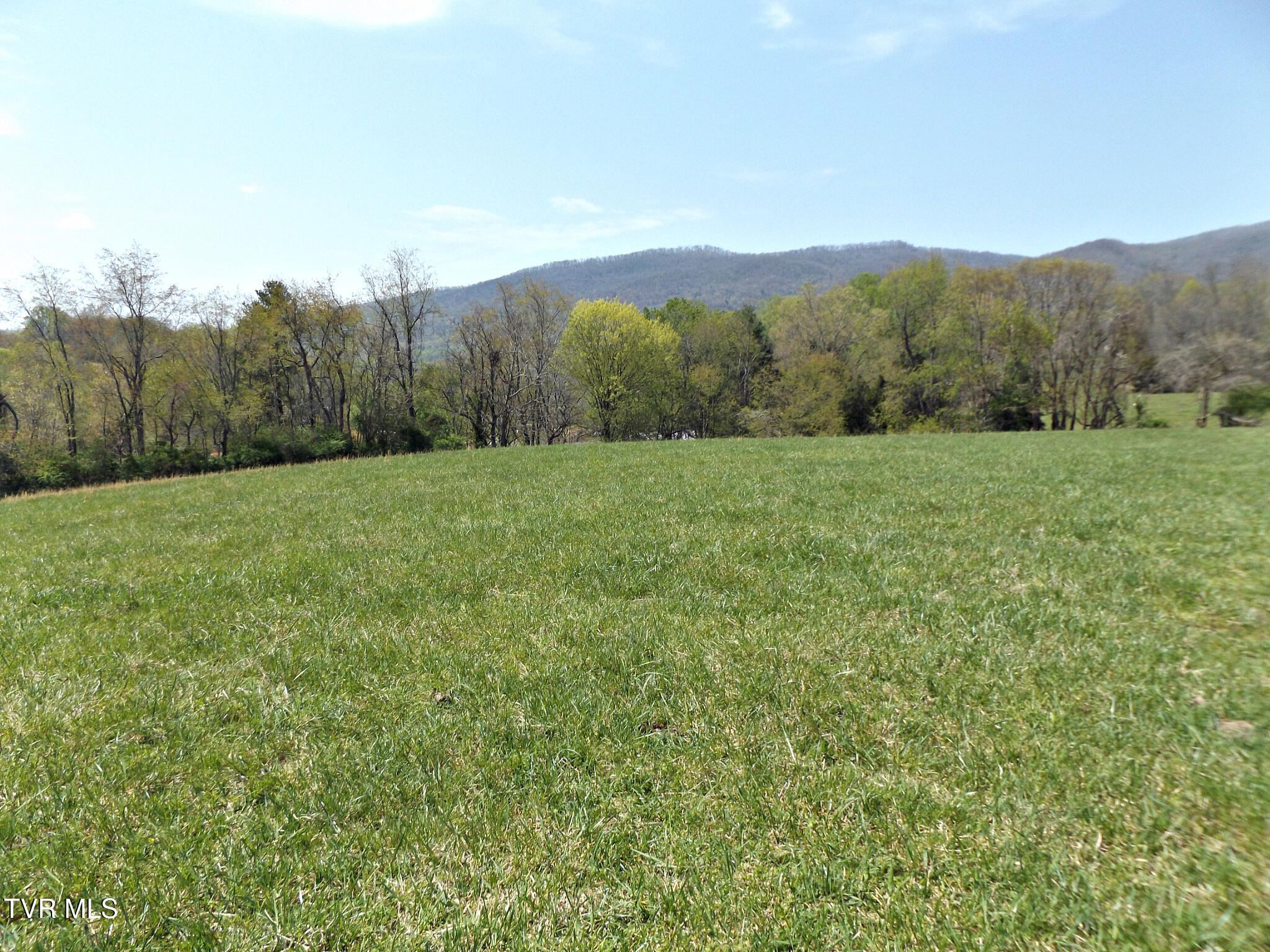 855 Willow Springs Road Elizabethton, TN 37643 - Photo 39 of 74 Willow11