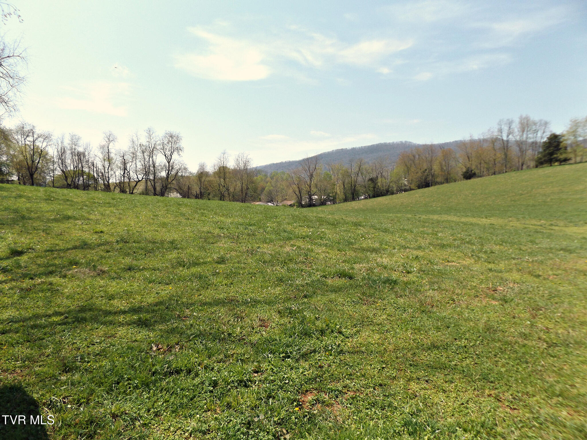 855 Willow Springs Road Elizabethton, TN 37643 - Photo 40 of 74 Willowbottomland