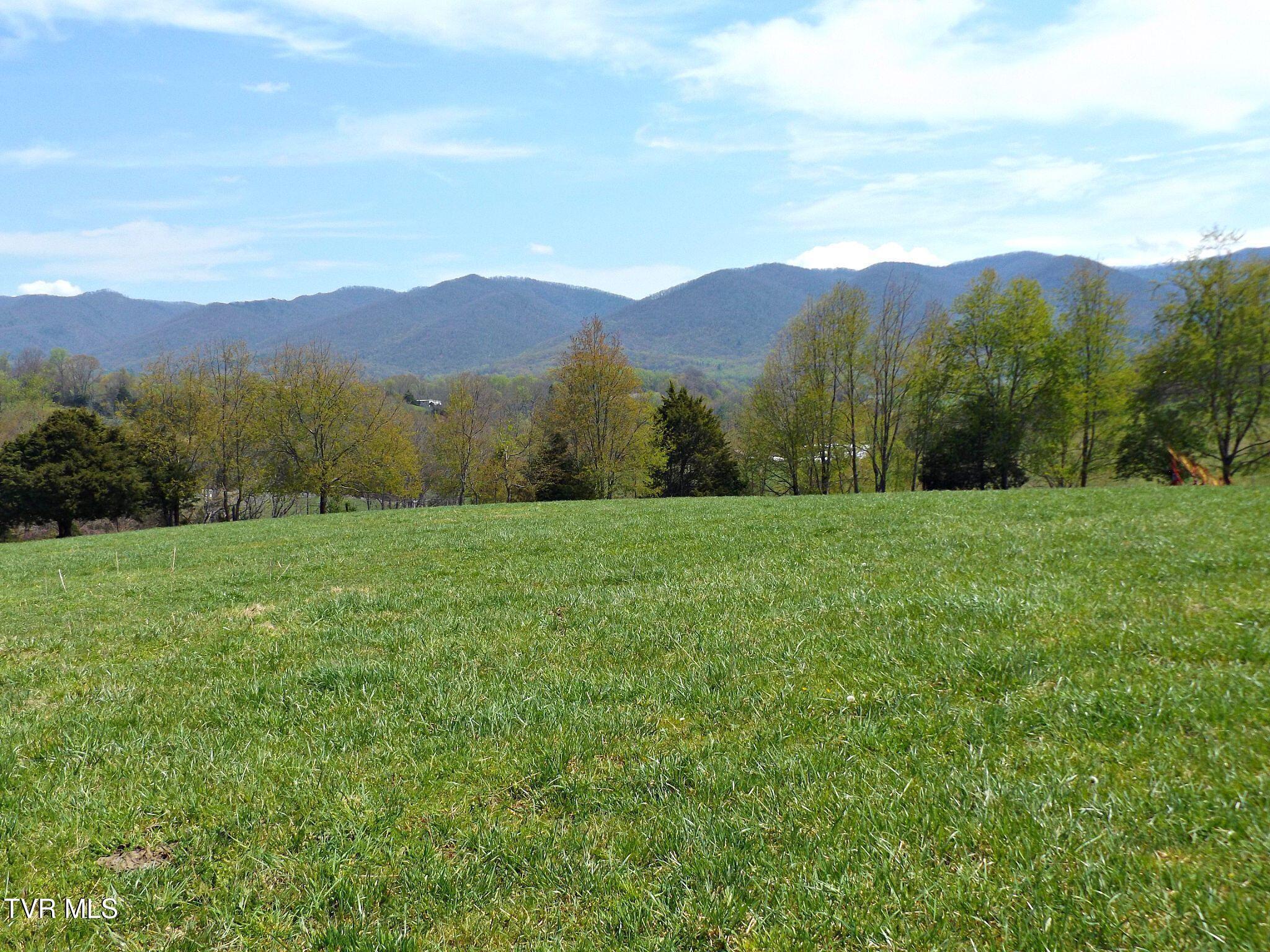 855 Willow Springs Road Elizabethton, TN 37643 - Photo 4 of 74 Willow19 (1)