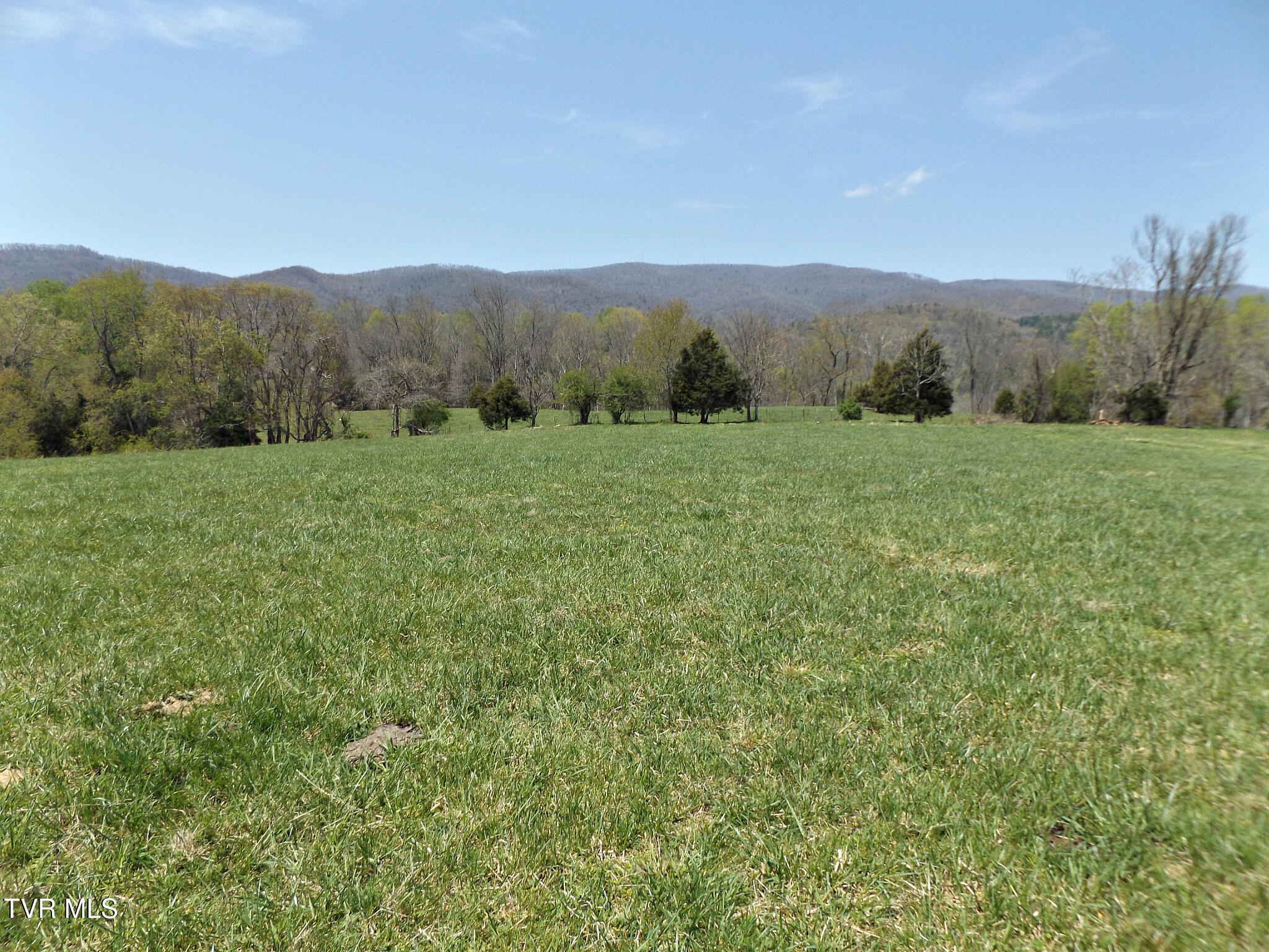 855 Willow Springs Road Elizabethton, TN 37643 - Photo 41 of 74 Willow10