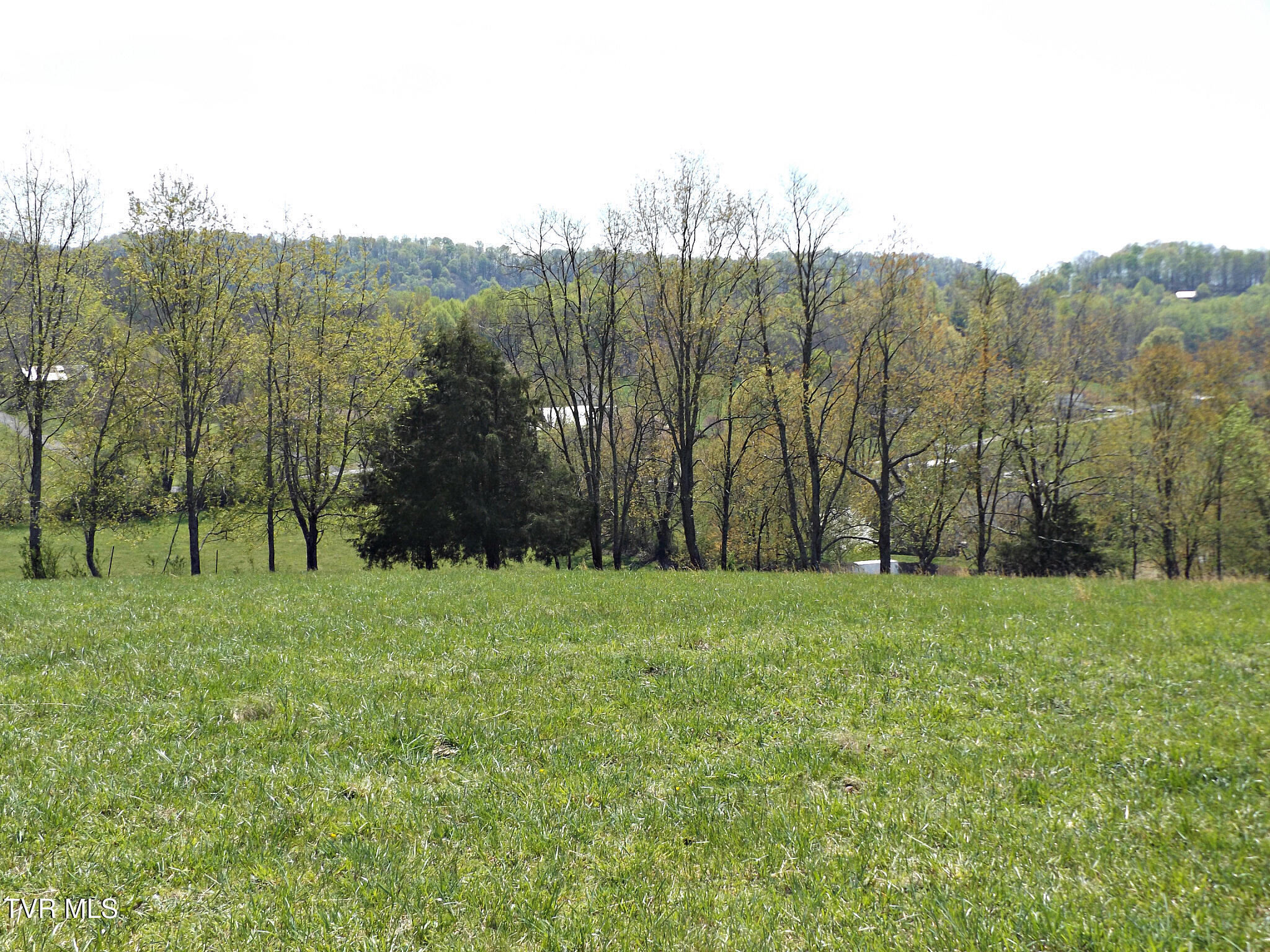 855 Willow Springs Road Elizabethton, TN 37643 - Photo 42 of 74 Willow15