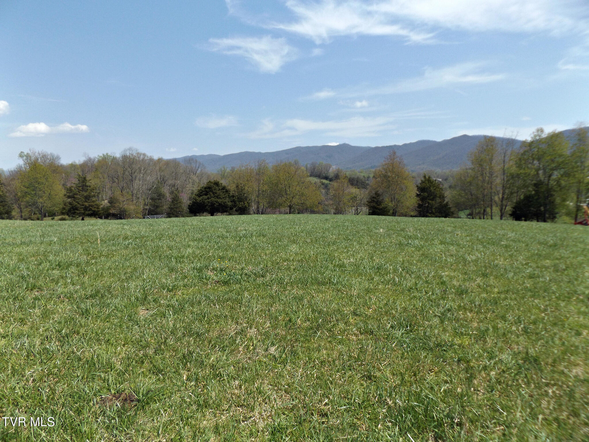 855 Willow Springs Road Elizabethton, TN 37643 - Photo 43 of 74 Willow06 (1)