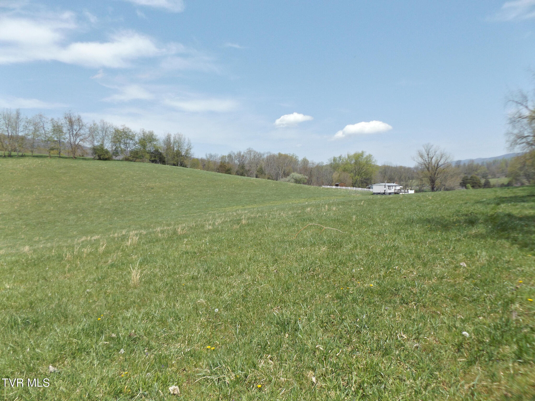 855 Willow Springs Road Elizabethton, TN 37643 - Photo 44 of 74 Willow58