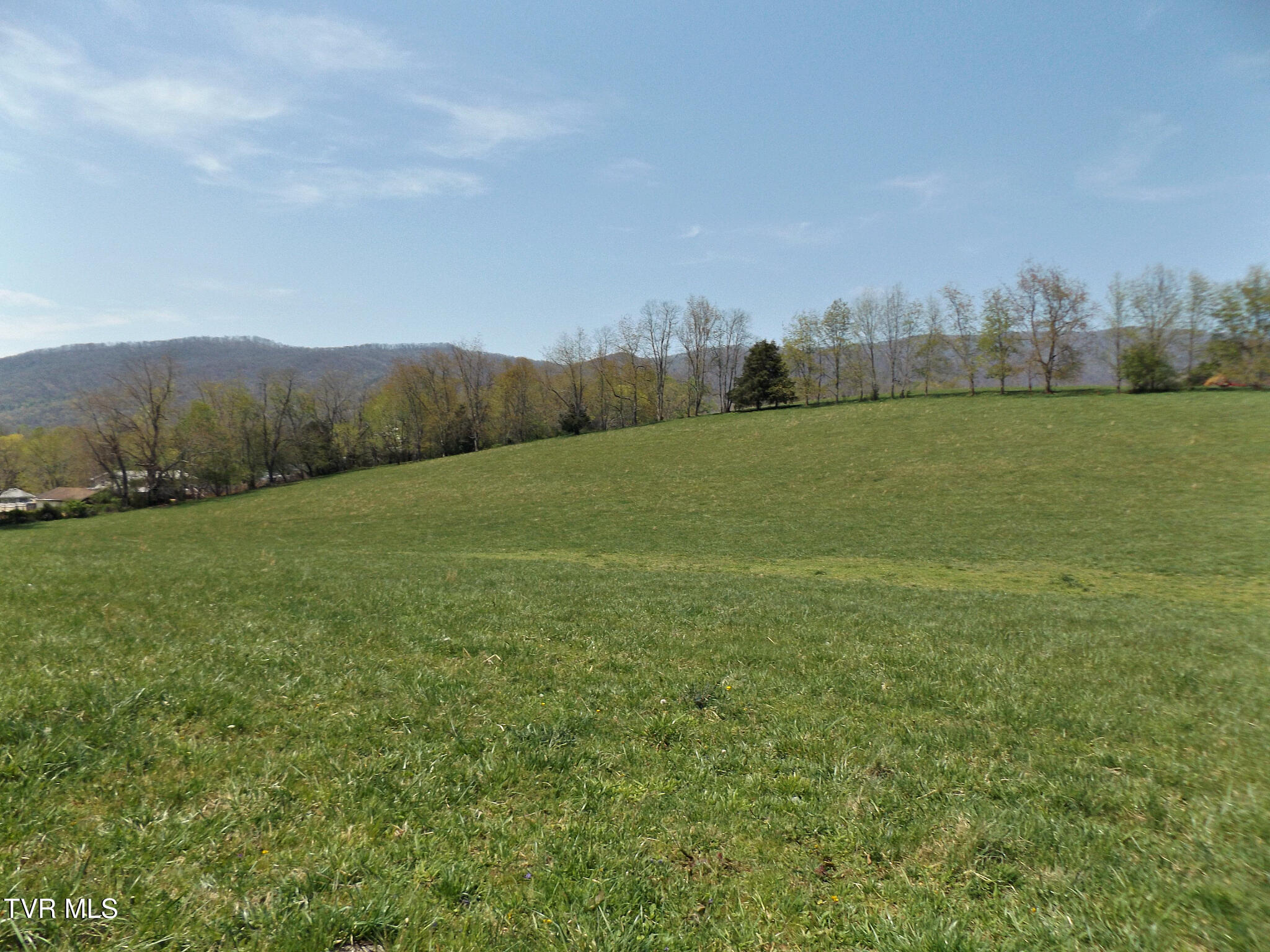 855 Willow Springs Road Elizabethton, TN 37643 - Photo 45 of 74 WillowPasture