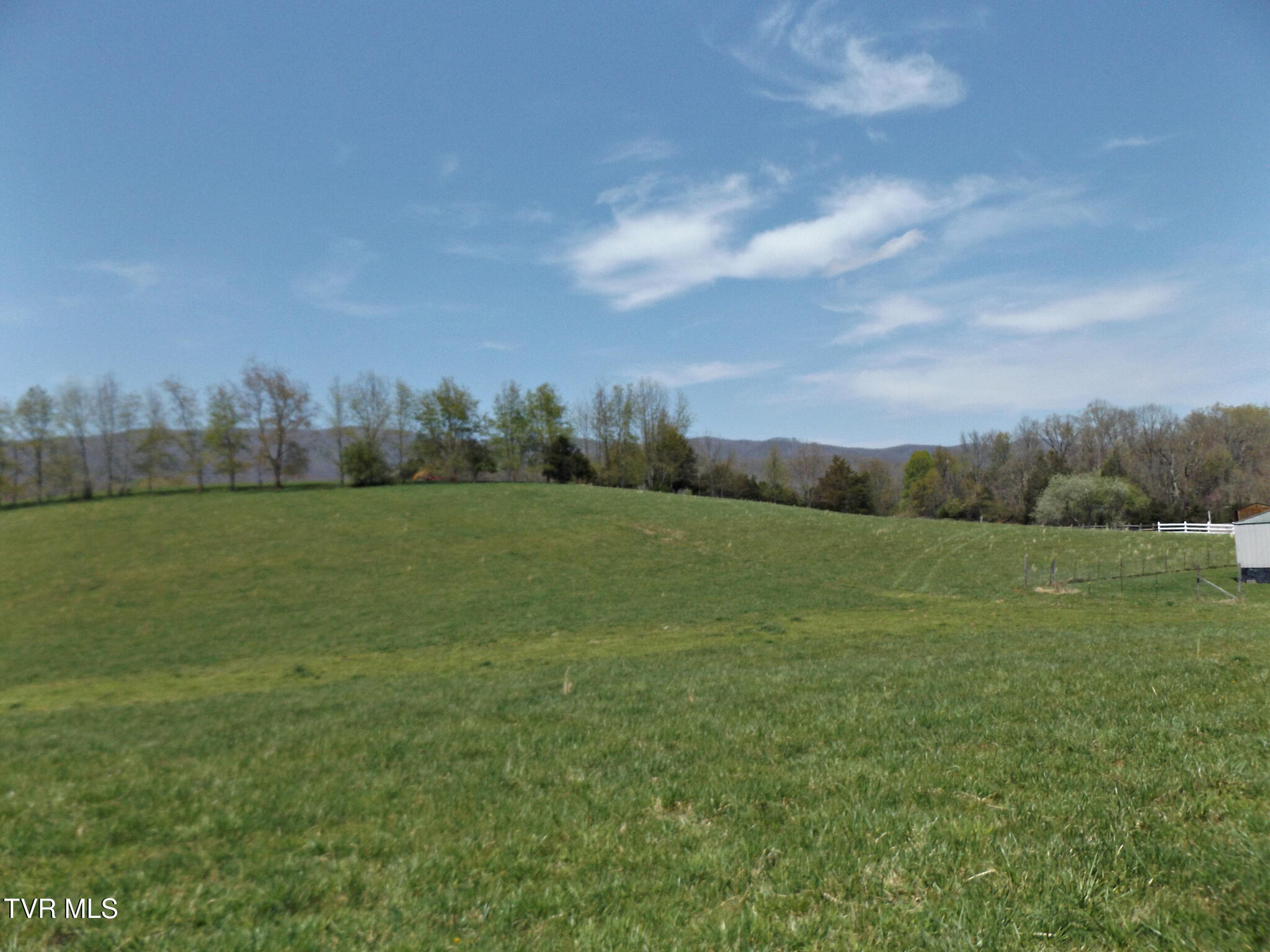 855 Willow Springs Road Elizabethton, TN 37643 - Photo 46 of 74 WillowHayfieldpasture