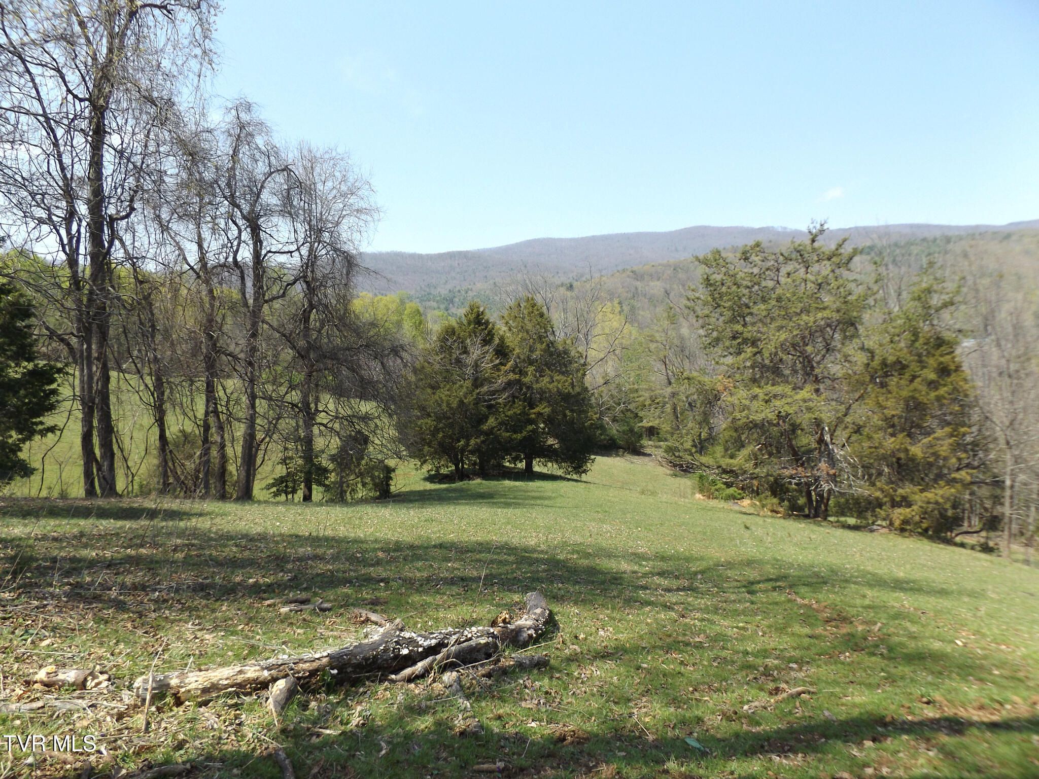 855 Willow Springs Road Elizabethton, TN 37643 - Photo 47 of 74 Willowtopback39