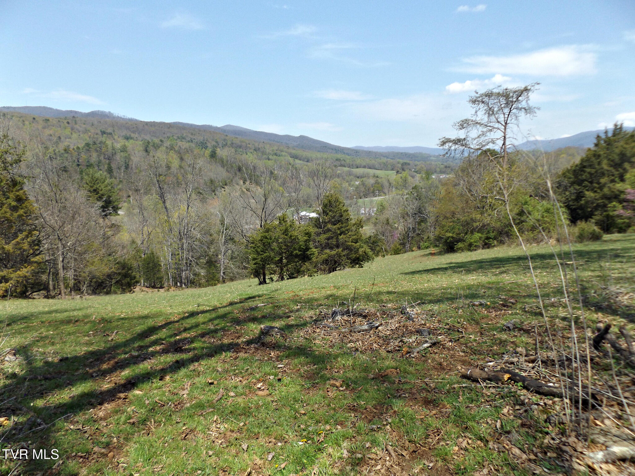 855 Willow Springs Road Elizabethton, TN 37643 - Photo 48 of 74 Willowtopback37