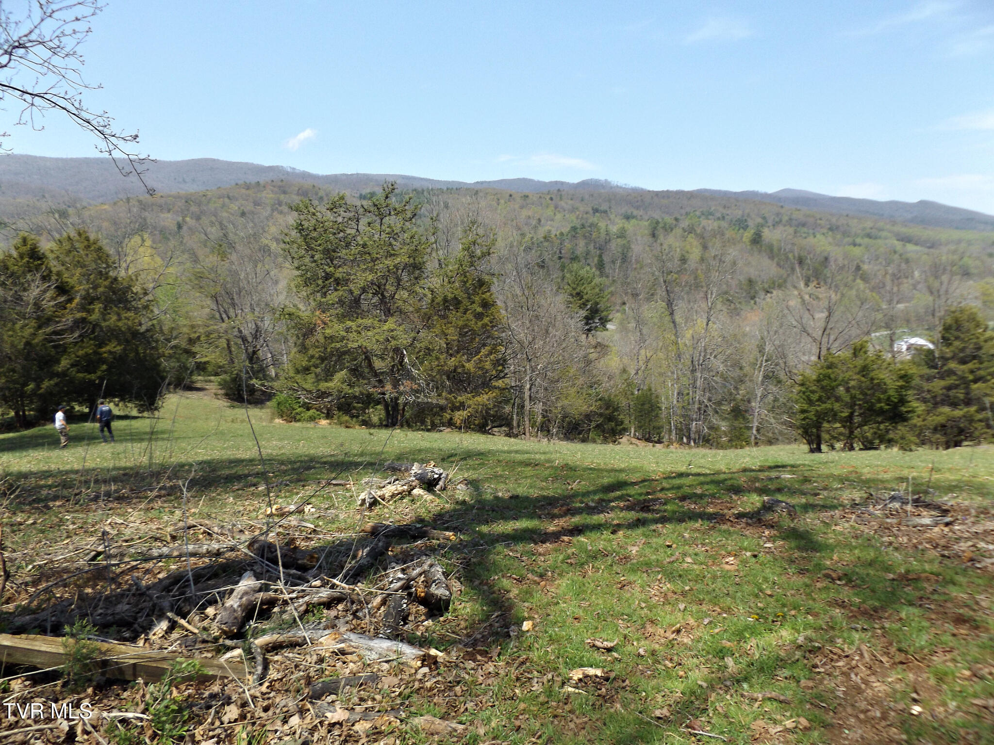 855 Willow Springs Road Elizabethton, TN 37643 - Photo 53 of 74 Willowbackpasture36