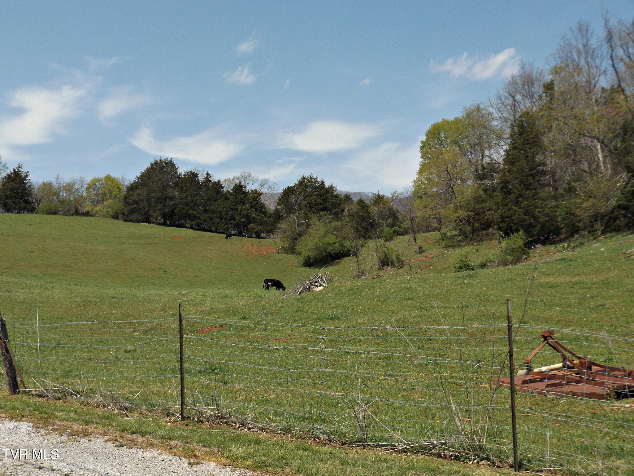 855 Willow Springs Road Elizabethton, TN 37643 - Photo 54 of 74 DSCF8295