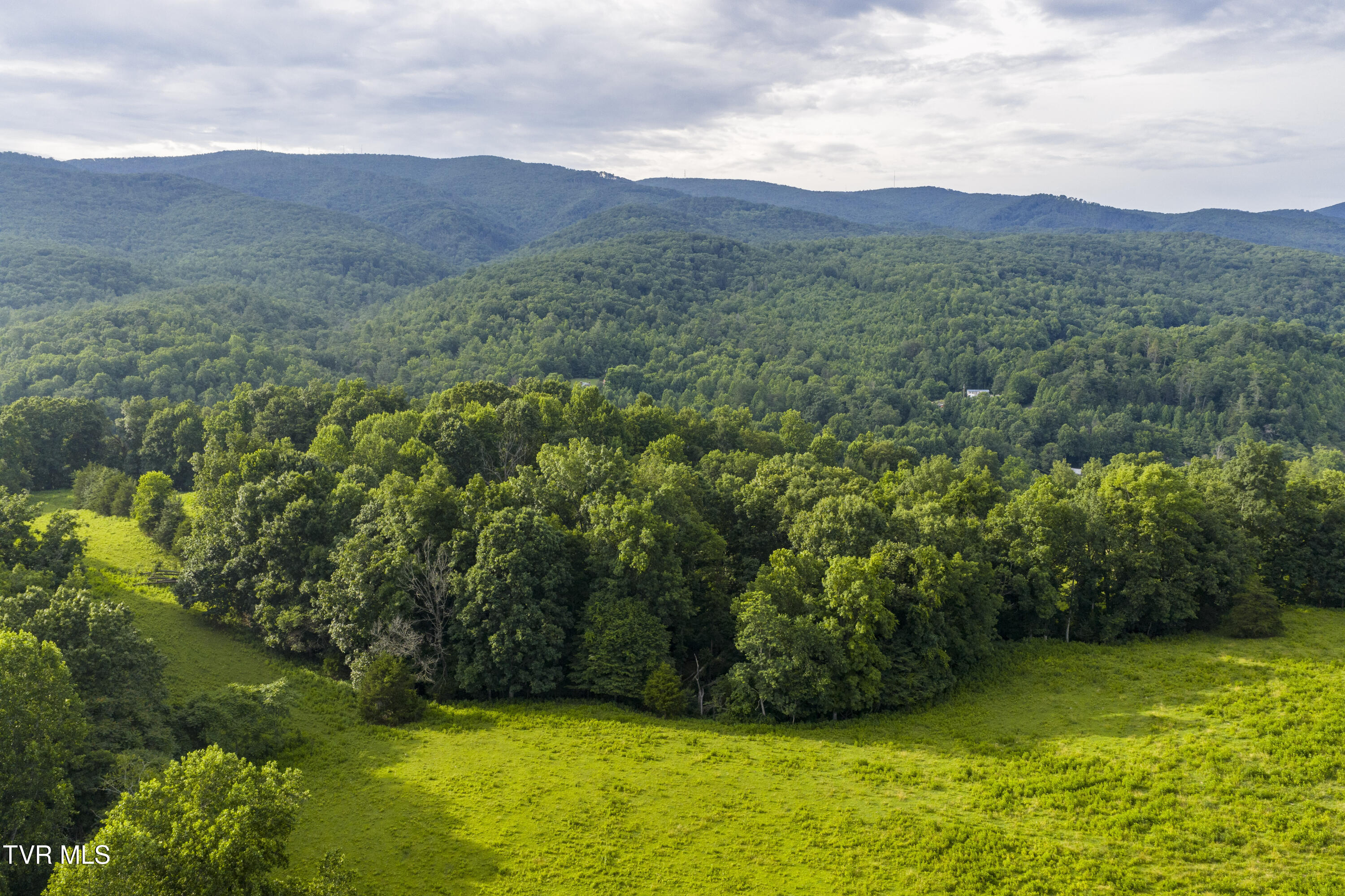 855 Willow Springs Road Elizabethton, TN 37643 - Photo 59 of 74 WillowSprings-Aerials-17