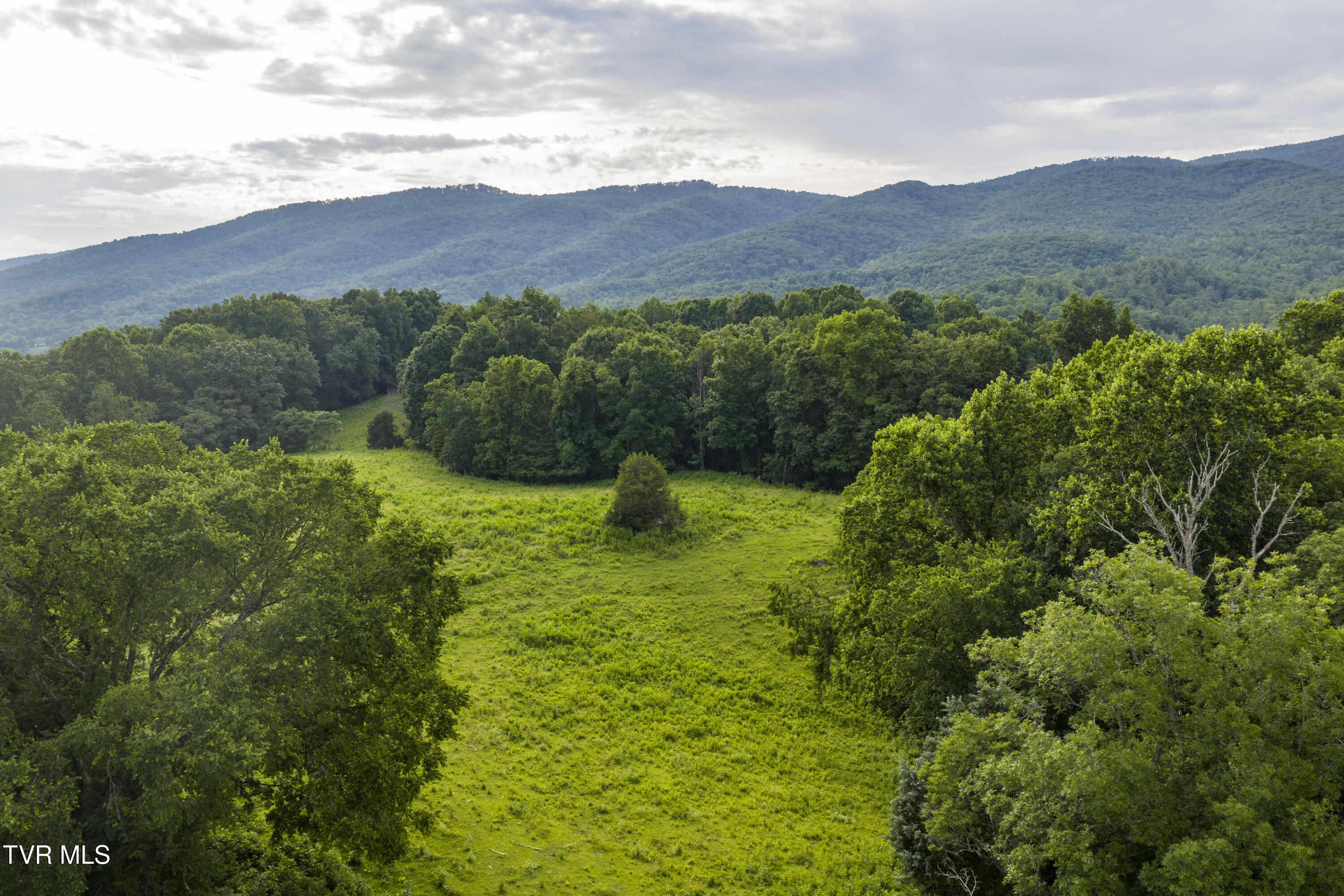 855 Willow Springs Road Elizabethton, TN 37643 - Photo 69 of 74 WillowSprings-Aerials-30
