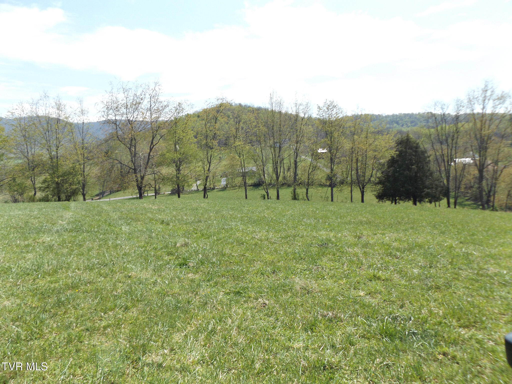 855 Willow Springs Road Elizabethton, TN 37643 - Photo 7 of 74 Willow59 (1)