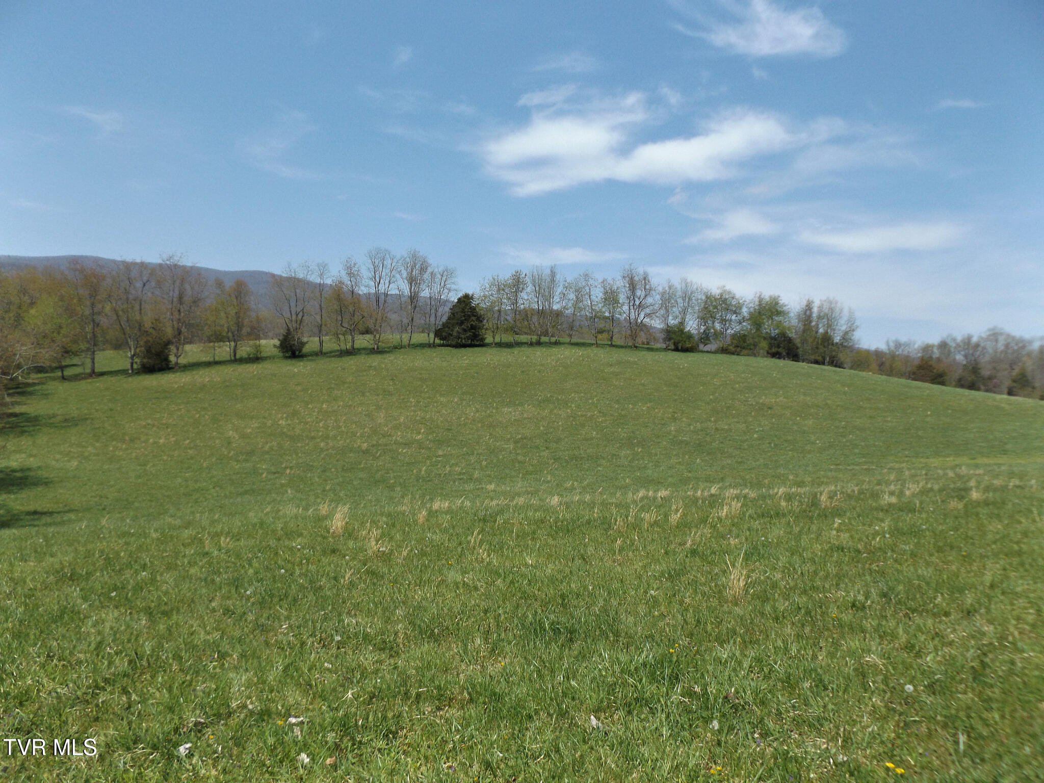 855 Willow Springs Road Elizabethton, TN 37643 - Photo 9 of 74 WillowPasture57