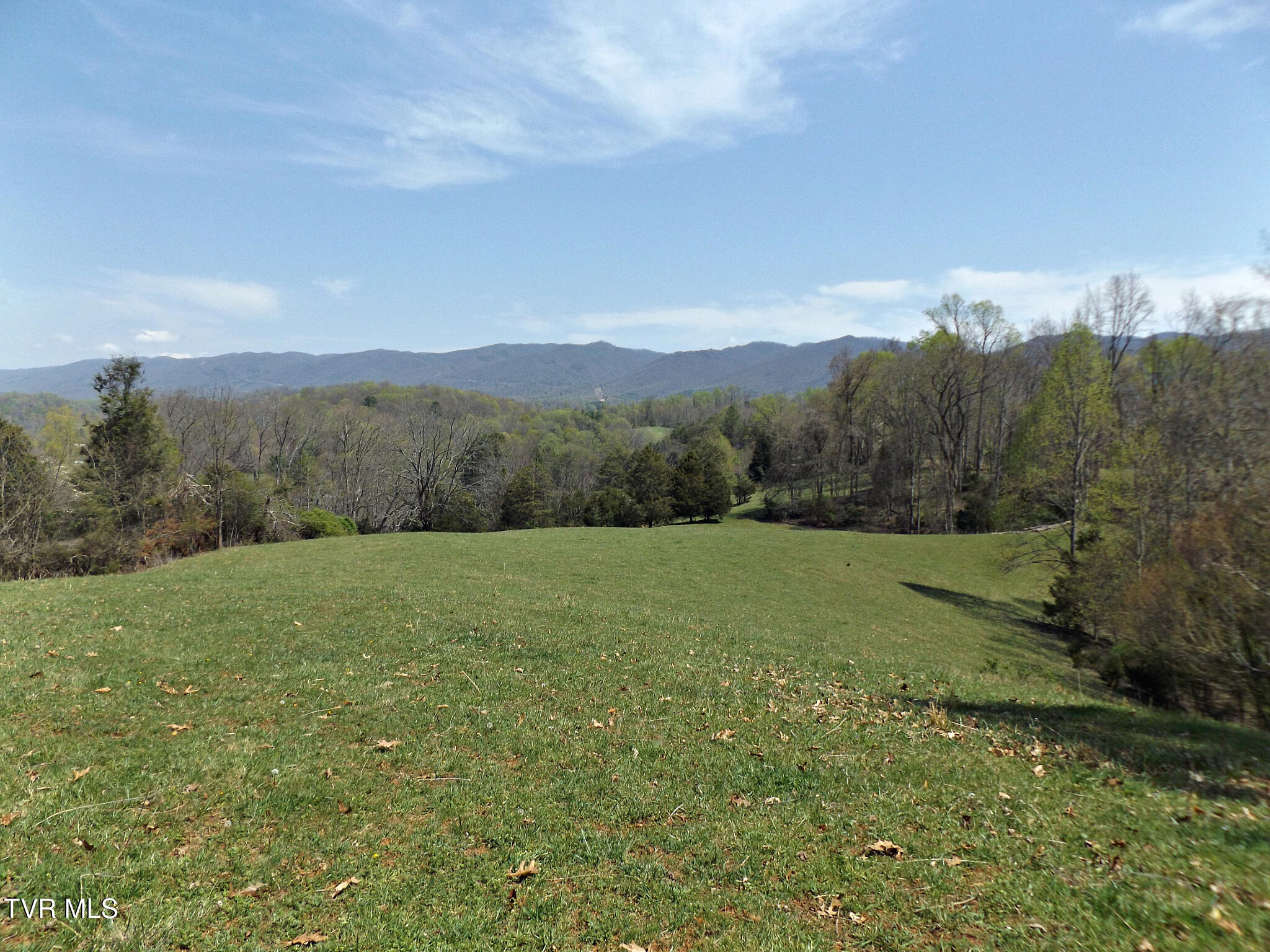 855 Willow Springs Road Elizabethton, TN 37643 - Photo 10 of 74 Willowtop51