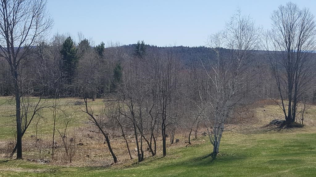 297 Canning Road Saranac, NY 12981 - Photo 32 of 69 Gallery Image 32