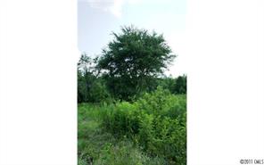 2022 Pleasant Grove Church Road Crouse, NC 28033 - Photo 11 of 16 Gallery Image 11