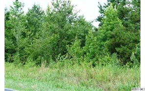2022 Pleasant Grove Church Road Crouse, NC 28033 - Photo 3 of 16 Gallery Image 3