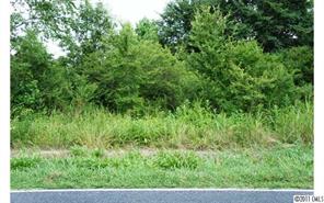 2022 Pleasant Grove Church Road Crouse, NC 28033 - Photo 4 of 16 Gallery Image 4
