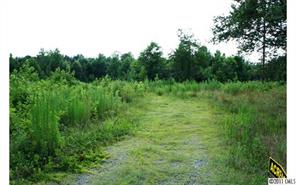 2022 Pleasant Grove Church Road Crouse, NC 28033 - Photo 6 of 16 Gallery Image 6
