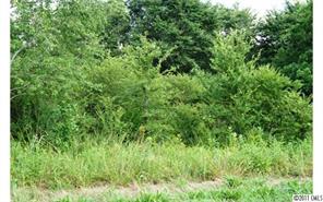 2022 Pleasant Grove Church Road Crouse, NC 28033 - Photo 7 of 16 Gallery Image 7