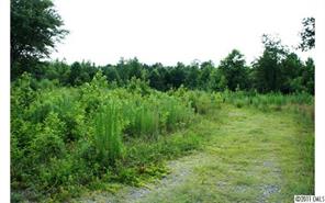 2022 Pleasant Grove Church Road Crouse, NC 28033 - Photo 9 of 16 Gallery Image 9