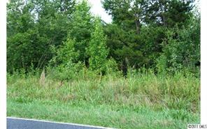 2022 Pleasant Grove Church Road Crouse, NC 28033 - Photo 10 of 16 Gallery Image 10