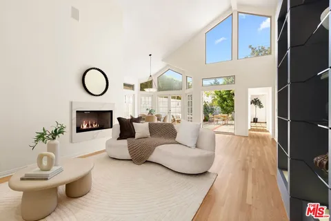 a living room with furniture a fireplace and a potted plant