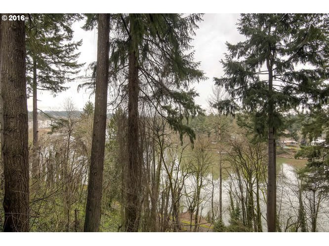 200 Southwest Burnham Road, Unit 102 Lake Oswego, OR 97034 - Photo 23 of 25 Gallery Image 23