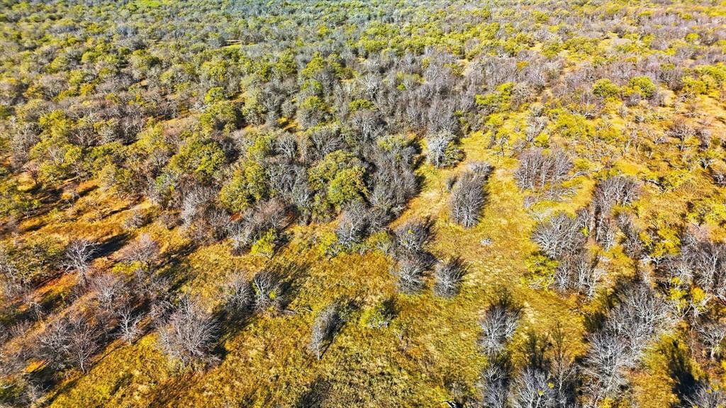 0 Private Road Bridgeport, TX 76426 - Photo 7 of 17