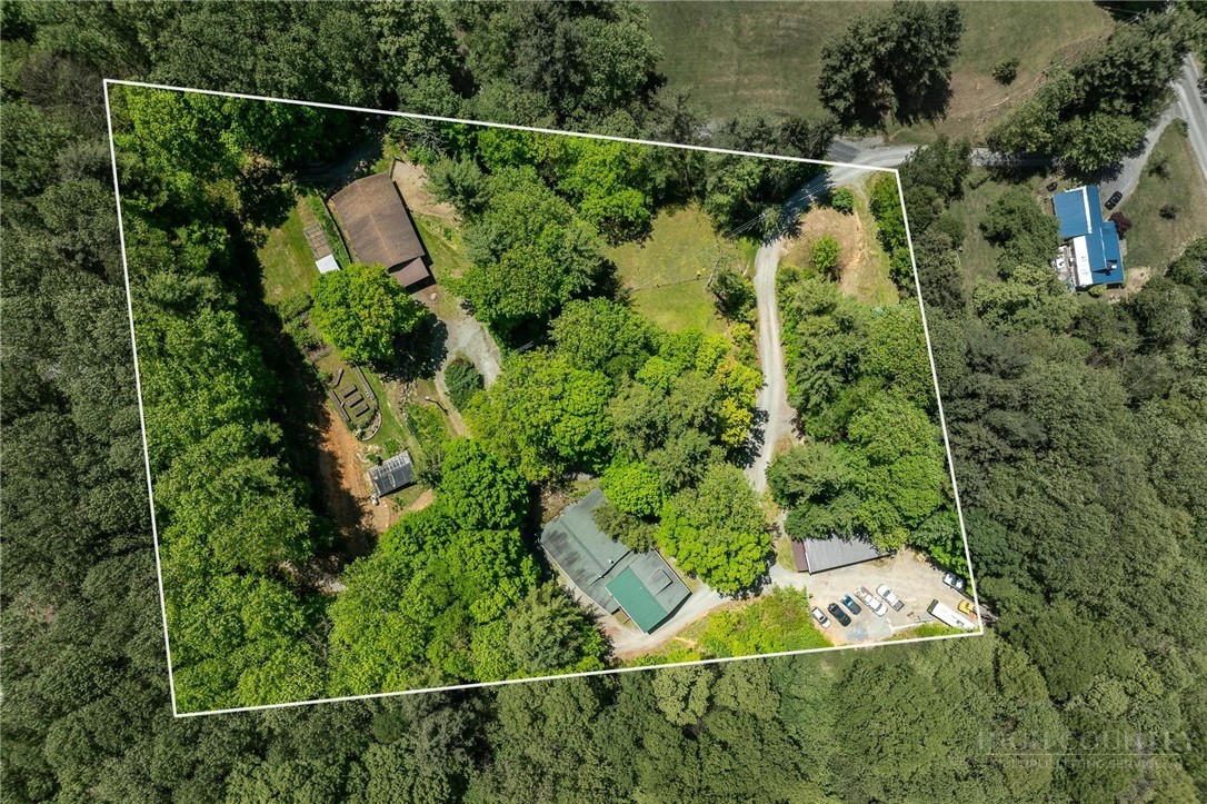 165 Natures Way Boone, NC 28607 - Photo 2 of 50 a view of a yard