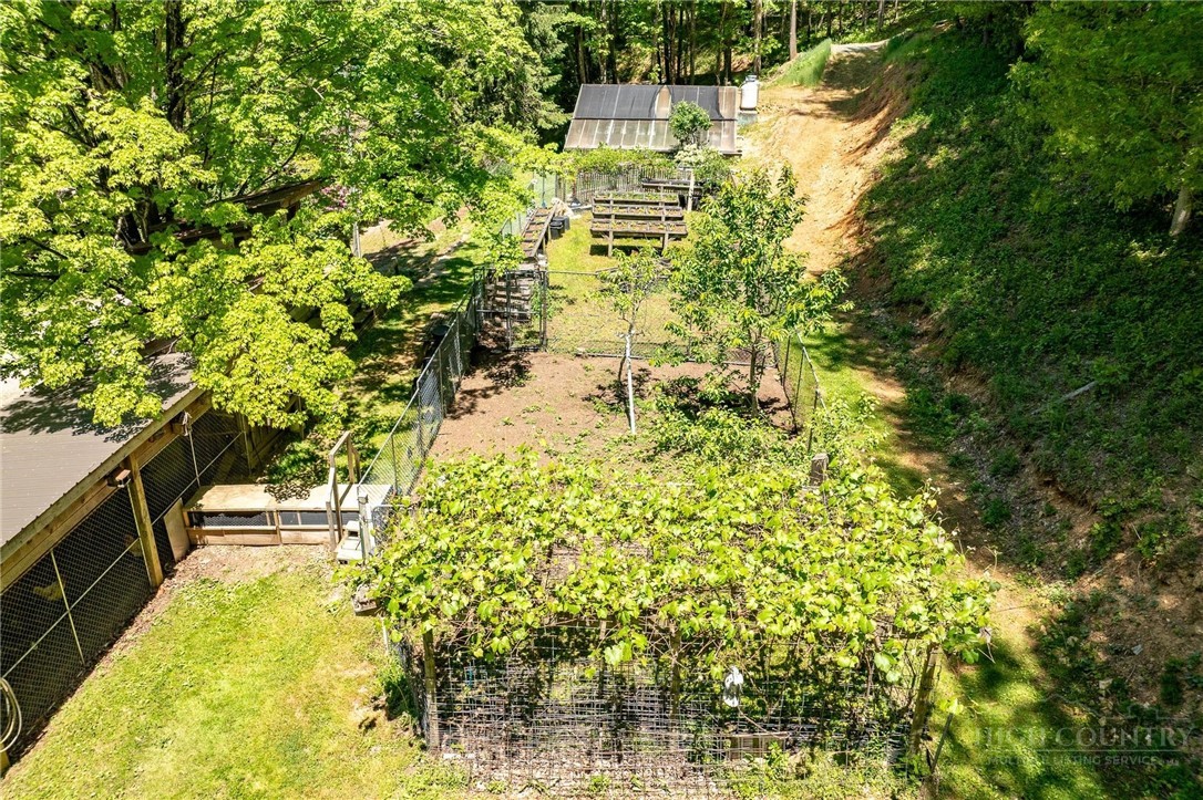 165 Natures Way Boone, NC 28607 - Photo 35 of 50 a backyard of a building with large trees