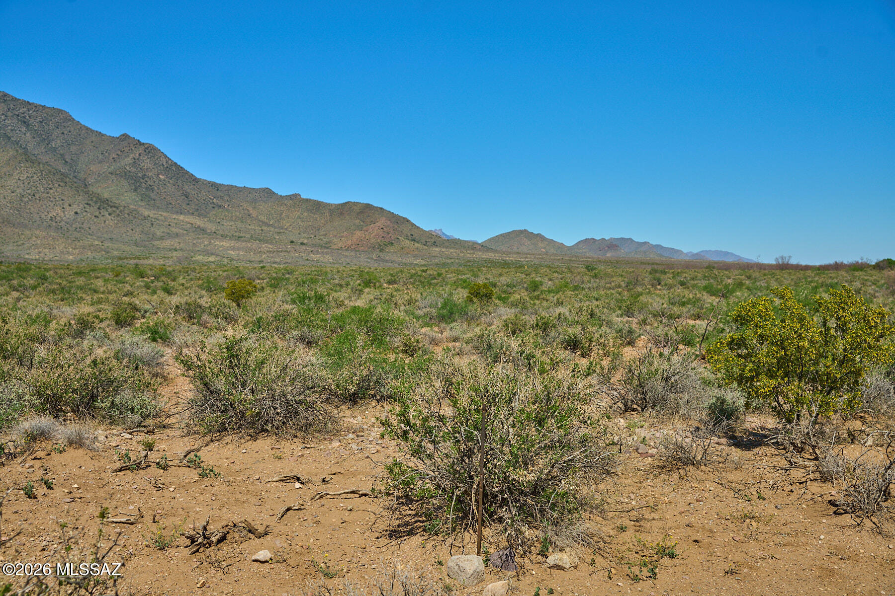 10-acres West Foothills Road San Simon, AZ 85632 - Photo 7 of 10