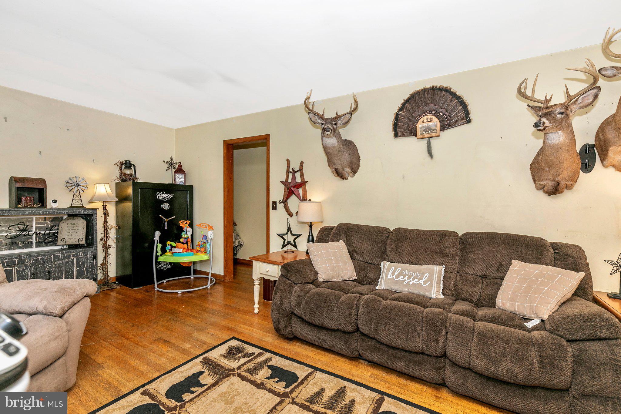 10641 Powell Road Thurmont, MD 21788 - Photo 10 of 53 Living Room