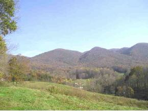 Xxx Nave Hollow Road Elizabethton, TN 37643 - Photo 1 of 5 Photo 1